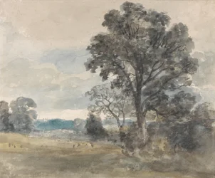 Landschap bij East Bergholt